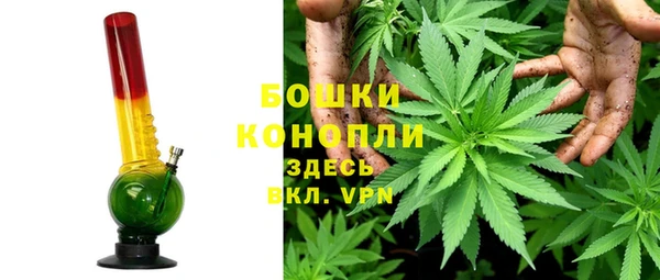 дурь Арсеньев